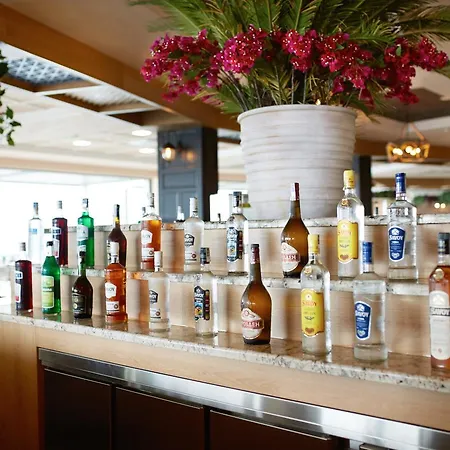 호텔 Paradise 엘레니테