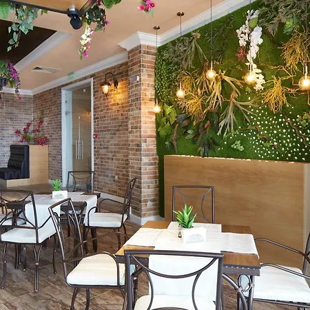 Paradise 엘레니테