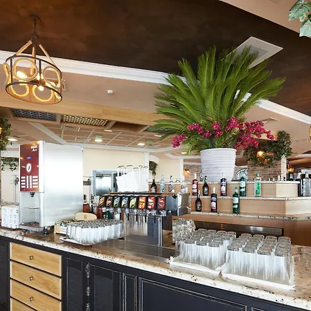 Paradise 엘레니테