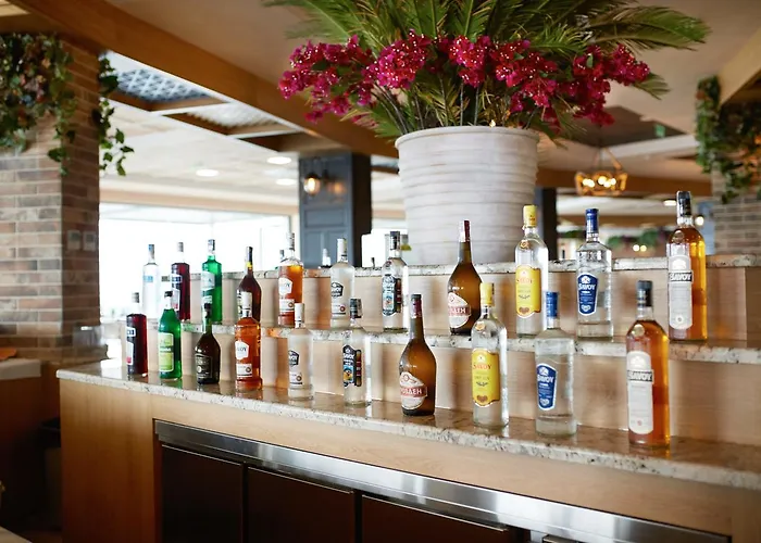 Hotel Paradise Elenite